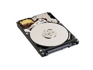 WD 500Go 7200 RPM 16Mo (Scorpio Black - WD5000BPKT)