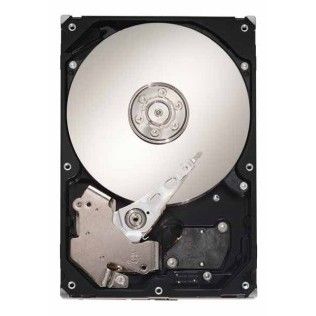 Seagate 500Go 7200 RPM S-ATA II (SV35.3)