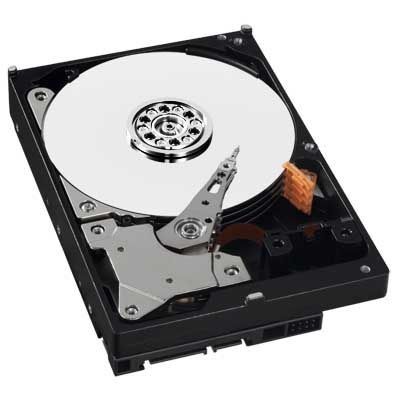 WD 500Go S-ATA II (AV-GP - WD5000AVVS)