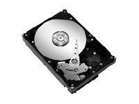 Seagate 750Go 7200 RPM SAS 16Mo (Barracuda ES.2)