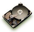 Seagate 250Go 7200 RPM S-ATA (Barracuda 7200.8)