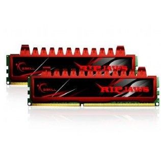 G.Skill RipJaws RL DDR3-1600 CL9 4Go (2x2Go)