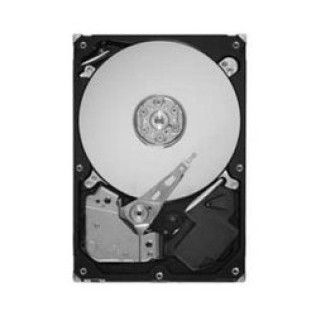 Seagate 160Go 7200 RPM S-ATA III 8Mo (ST3160316AS)