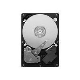 Seagate 500Go S-ATA II Pipeline HD (ST3500312CS)