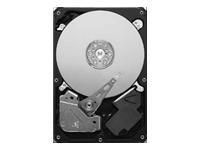 Seagate 500Go S-ATA II Pipeline HD (ST3500312CS)