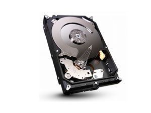 Seagate 750Go S-ATA II 8Mo (ST750LM022) Momentus SpinPoint