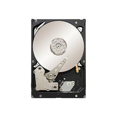 Seagate 2To SAS 2.0 128Mo (ST2000NM0023) Constellation ES.3