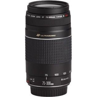 Canon EF 75-300mm f/4-5.6 III USM