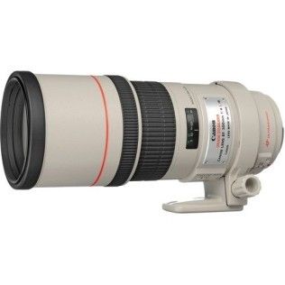 Canon EF 300mm f/4L IS USM