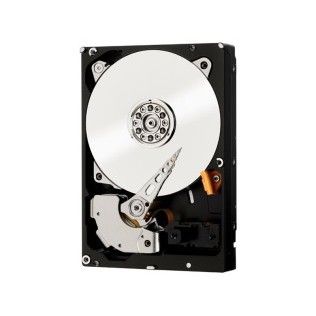 WD RE 1To SAS 2.0 32Mo (WD1001FYYG)