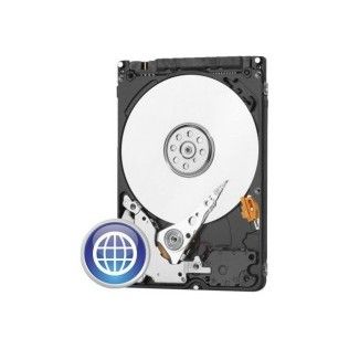 WD 250Go 5400 RPM S-ATA 8Mo (Scorpio Blue WD2500LPVX)