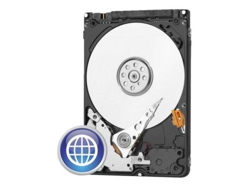 WD 250Go 5400 RPM S-ATA 8Mo (Scorpio Blue WD2500LPVX)