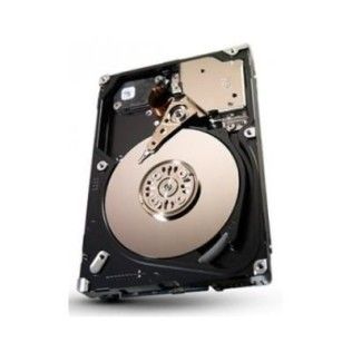 Seagate 300Go 5400RPM SAS-2 (ST9300653SS) Savvio 15K