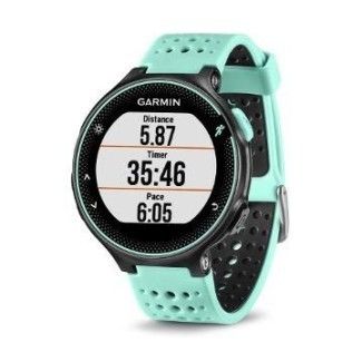 Garmin Montre GPS Forerunner 235 (noir / bleu)