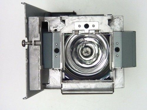 BenQ Lampe 190 Watts pour projecteur W700/W1060