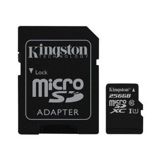 KINGSTON carte mémoire flash - 256 Go - microSDXC UHS-I