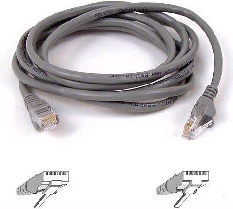 Belkin câble RJ45 3m UTP Catégorie 5e Gris