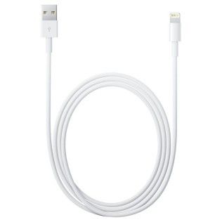 Apple Câble Lightning vers USB