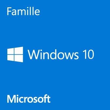 Microsoft Windows 10 Home 32/64 bits - Version clé USB