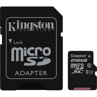 Kingston Canvas Select SDCS/256GB