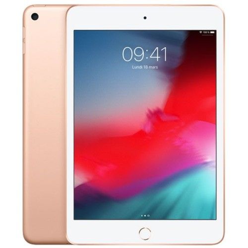 Apple iPad mini 5 Wi-Fi 64 Go Or