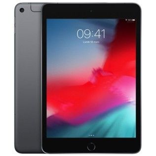 Apple iPad mini 5 Wi-Fi + Cellular 256 Go Gris Sidéral