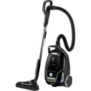 Aspirateur avec sac Electrolux UltraOne EUO9GREEN