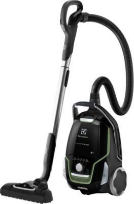 Aspirateur avec sac Electrolux UltraOne EUO9GREEN