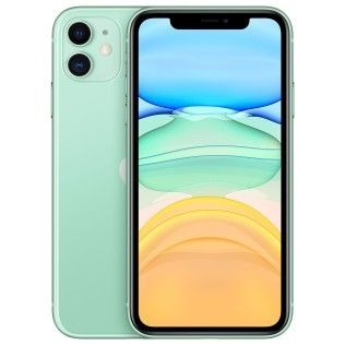 Apple iPhone 11 256 Go Vert