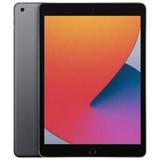 Apple iPad (Gen 8) Wi-Fi 128 Go Gris Sidéral