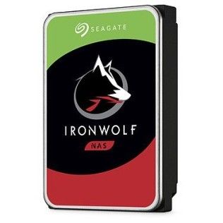 Seagate IronWolf 10 To (ST10000VN000)