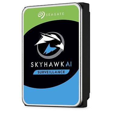 Seagate SkyHawk AI 18 To (ST18000VE002)