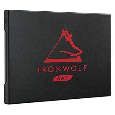 Seagate SSD IronWolf 125 500 Go