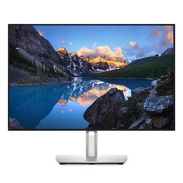 Dell 24.1" LED - U2421E