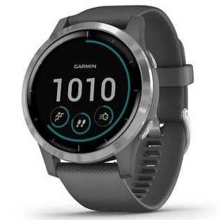 Garmin Vívoactive 4 (Gris)