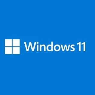 Microsoft 11 Professionnel For Workstation 64 bits - OEM (DVD)