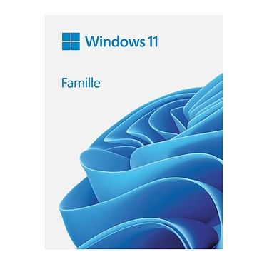 Microsoft Windows 11 Famille 64 bits - Version clé USB