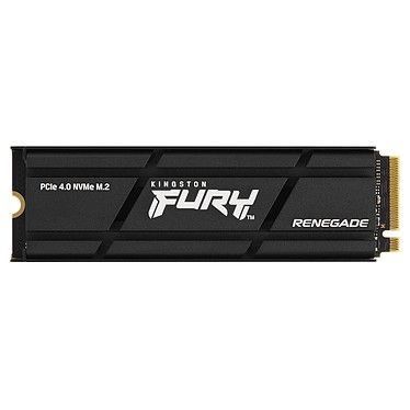 Kingston FURY Renegade 500 Go avec dissipateur thermique