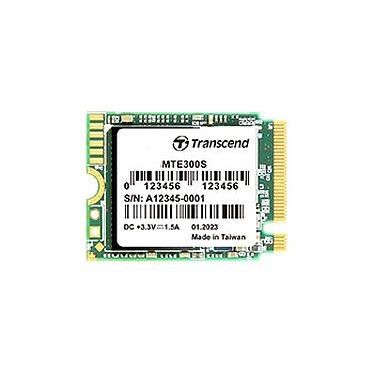 Transcend SSD MTE300S 256 Go (TS256GMTE300S)